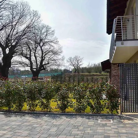 Il Riccio E La Castagna -