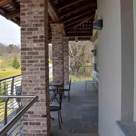 Il Riccio E La Castagna -