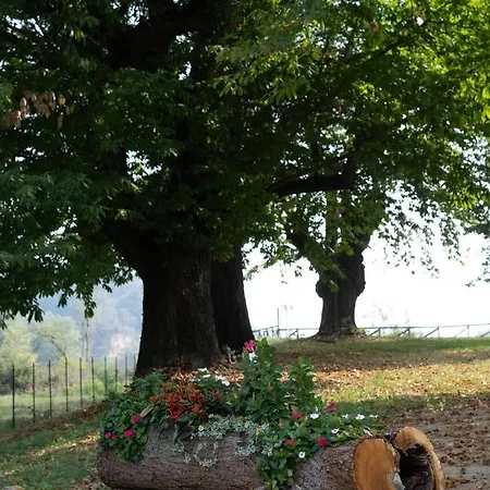 Il Riccio E La Castagna - Bed & Breakfast *