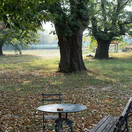 Il Riccio E La Castagna - Bed & Breakfast Montaldo Roero
