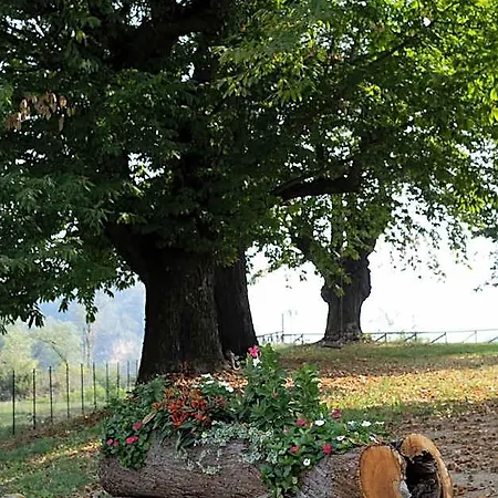 Il Riccio E La Castagna - Montaldo Roero