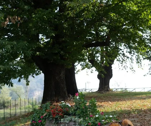 Il Riccio E La Castagna - B&B 4*