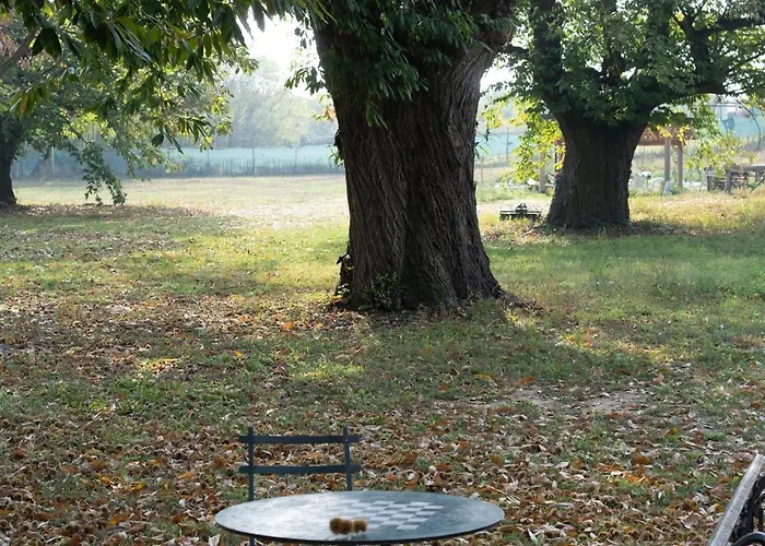 Il Riccio E La Castagna - B&B Montaldo Roero